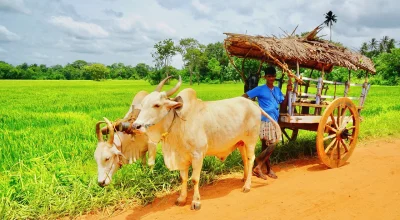 village-tour